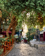 Hotel Královský Bahrajn - Perla Perského zálivu dovolenka