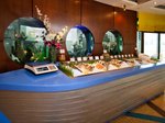 Hotel Novotel Bahrain Al Dana Resort dovolenka