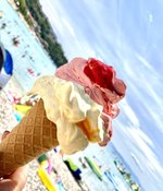 Hotel Hotel Narcis dovolenka