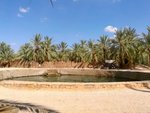 Hotel Egypt - Oasis Siwa - poznávací zájezd s odpočinkem u moře v Marsa Matruh dovolenka