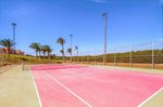 Tenis