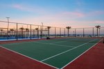 Tenis