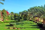 Záhrada