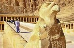 Výlety po Egypte
