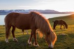 Hotel Gejzíry, ledovce a vodopády Islandu  dovolenka