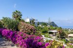 Hotel Paradiso Terme dovolenka