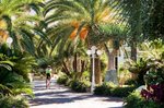 Hotel Park Hotel Terme Mediterraneo dovolenka
