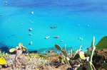 Hotel Baia del Capo dovolenka