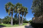 Hotel VOI Floriana Resort dovolenka