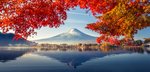 Hotel Velká cesta Japonskem a Jižní Koreou dovolenka