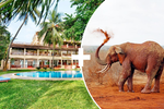 Hotel 2 dny safari Tsavo East + Neptune Beach dovolenka