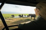 Hotel 2 dny safari Tsavo East + Neptune Beach dovolenka