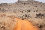 Hotel 2 dny safari Tsavo East + Neptune Beach dovolenka