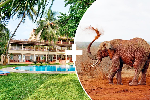 Hotel 2 dny Safari Tsavo East + pobyt u moře v Neptune Beach dovolenka