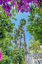 Hotel Riverside Garden Resort and Hotel dovolenka