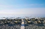 Hotel Coriva Beach Hotel by CHC Group dovolenka