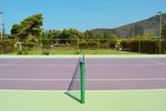 Tenis