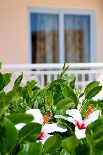 Hotel Diagoras dovolenka