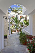 Hotel Dolphins Apartments dovolenka