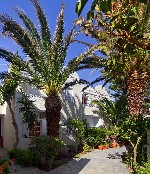 Hotel Dolphins Apartments dovolenka