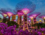 Hotel Singapur, Malajsie + Vietnam – all inclusive u moře na ostrově Phu Quoc dovolenka