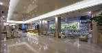 Recepcia / Lobby 