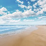 Hotel Los Delfines dovolenka