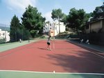 Tenis