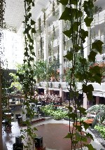 Hotel Beatriz Costa & Spa dovolenka