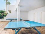 Ping pong