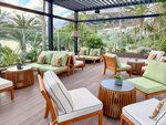 The Level Lounge terasa