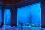 Hotel Atlantis The Palm dovolenka