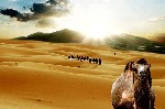 Hotel Okruh Saharou na velbloudech dovolenka