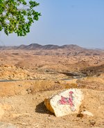 Hotel Poznávací okruh Tuniskem z Djerby na pevninu dovolenka