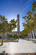 Veľká mešita v Alžíri