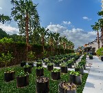 Hotel Liberty Golf & Resort Kusadasi dovolenka