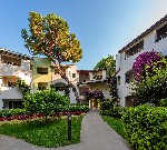 Hotel Paloma Sencia (ex. Cornelia Deluxe) dovolenka