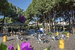 Hotel PINE BEACH BELEK dovolenka