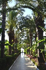 Hotel Emelda Sun Club dovolenka