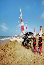 Hotel TUI Magic Life Jacaranda dovolenka