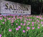 Salinda
