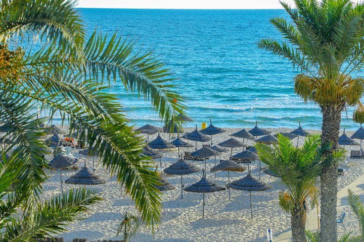 Riadh Palms – fotka 4